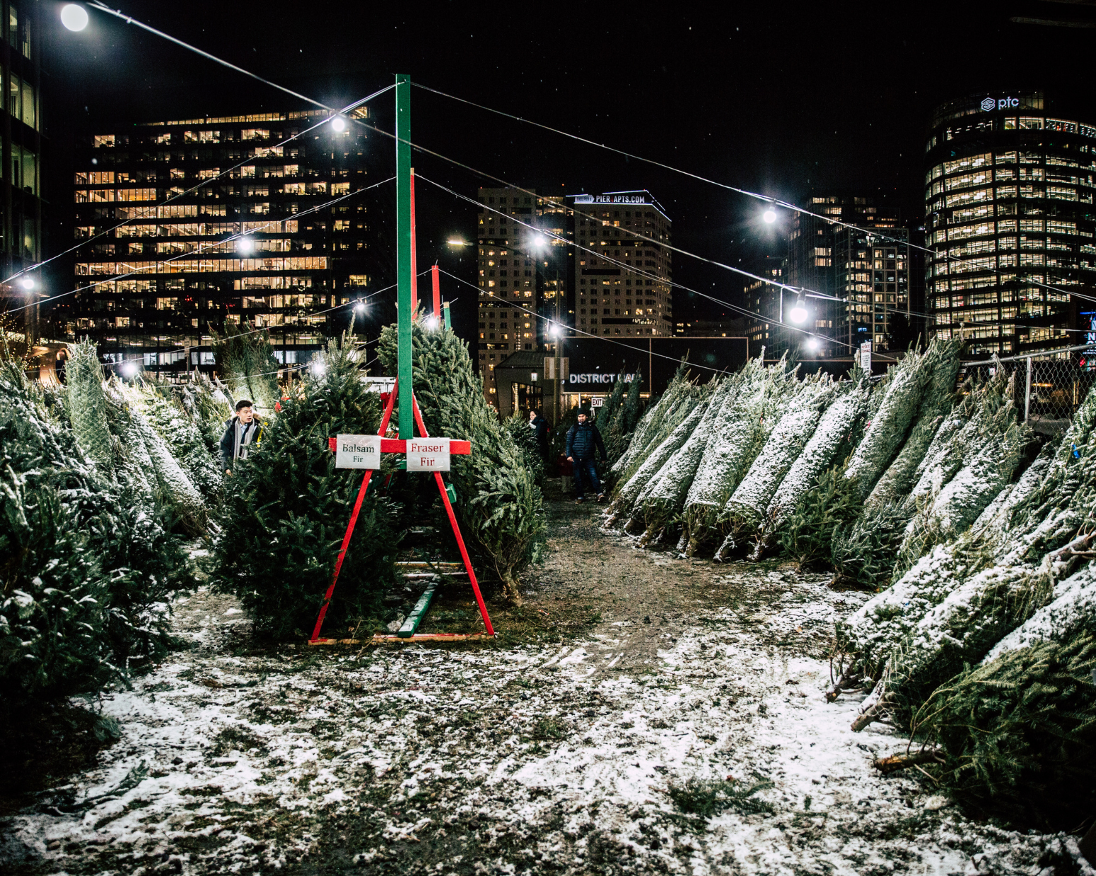 Trees, trimmings, and more from EverGreen Delivery right to your door.